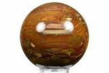 Colorful Chinchilla Petrified Wood (Conifer) Sphere - Australia #311726-1
